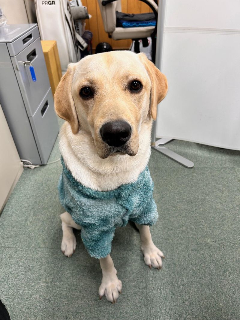 福仲興運株式会社のアルバイト・バイト求人情報-04