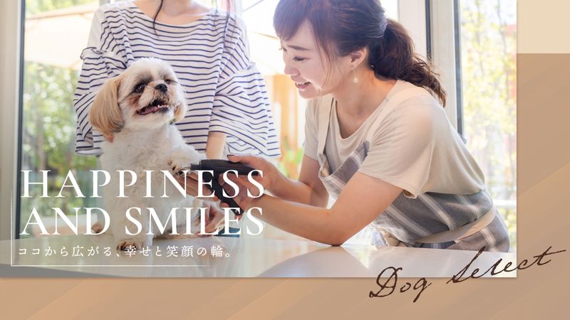 Dog Selectの求人・転職情報