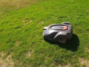 株式会社セリオガーデン　東京事業所のアルバイト・バイト求人情報-03