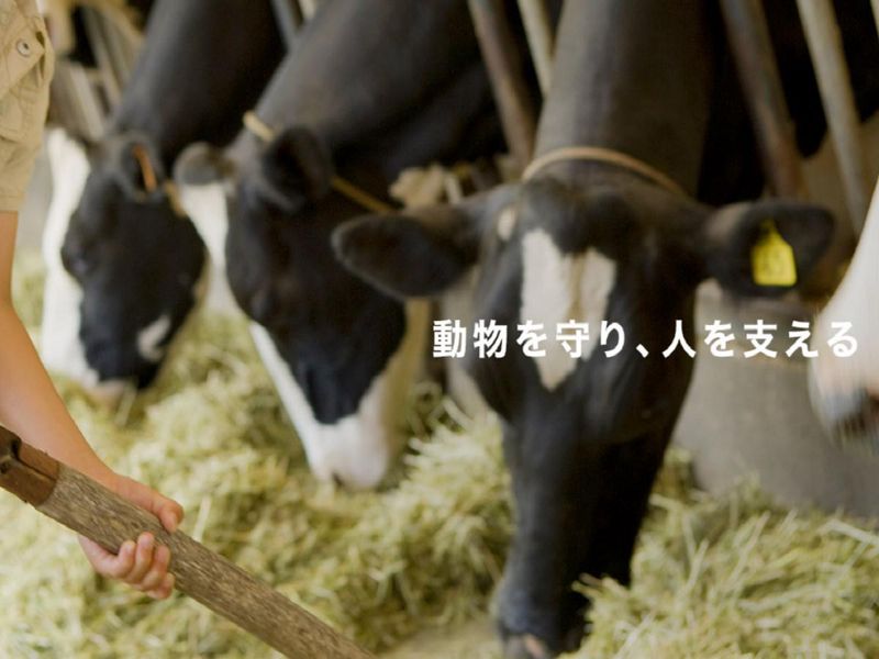 株式会社微生物化学研究所