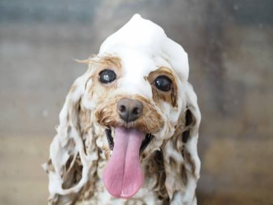 パレハ防府店のアルバイト・バイト求人情報-03