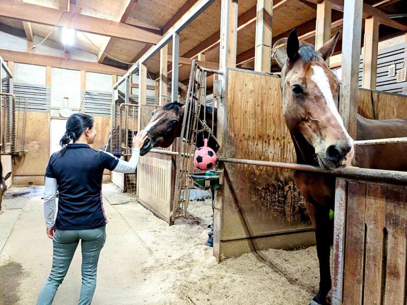 Dream Farmのアルバイト・バイト求人情報-02