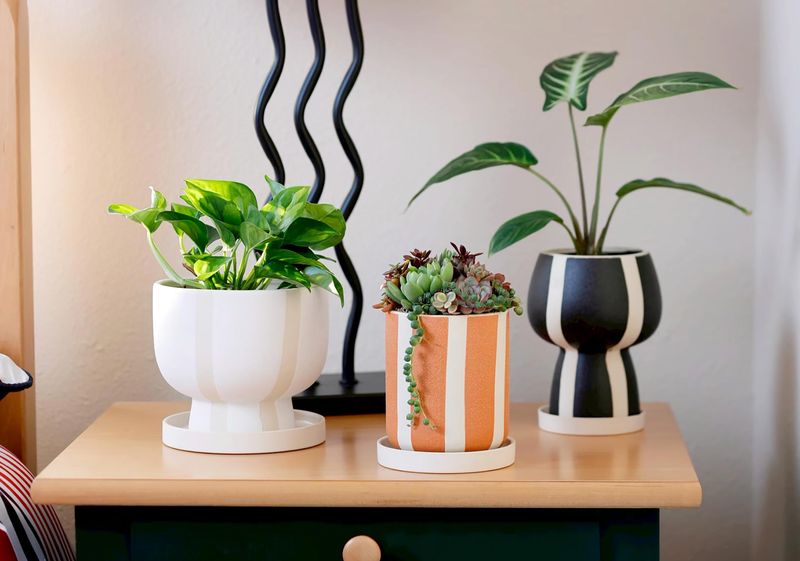 株式会社デルキの求人・転職情報