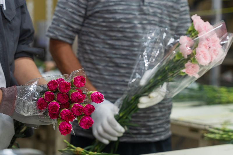 株式会社クラシック-0002の求人・転職情報