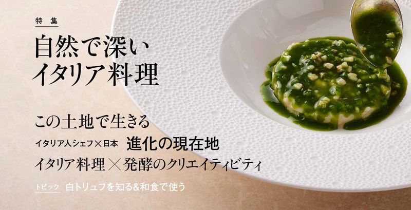 盛田株式会社　東京本社の求人情報