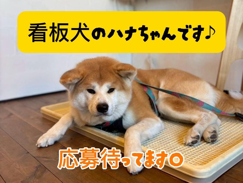 ~小平市内から通勤しているスタッフもいます ~のアルバイト・バイト求人情報-02