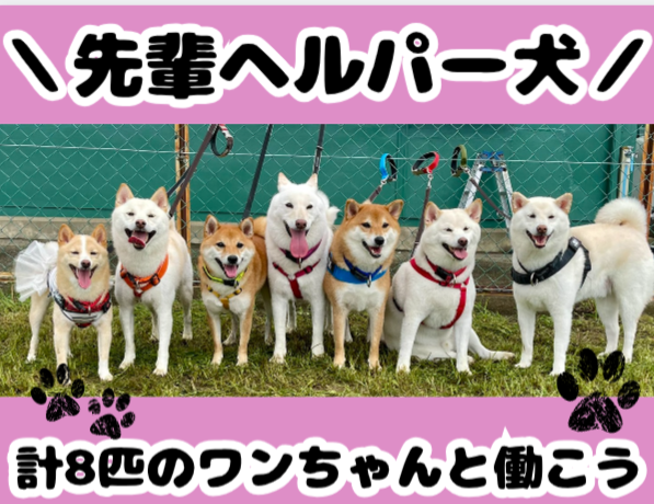 有限会社　ニコニコ介護センターの求人・転職情報