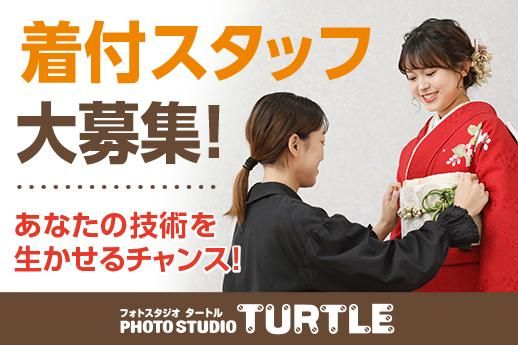 株式会社タートルの求人・転職情報
