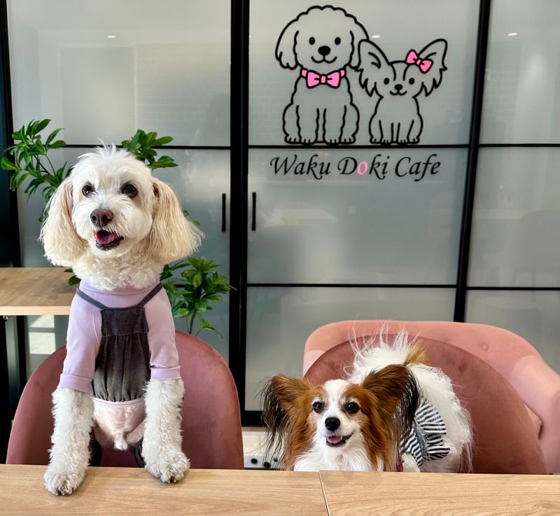 住まいＬＯＶＥ不動産株式会社の求人・転職情報