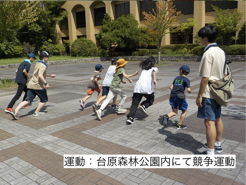 ＤＯＬＰＨＩＮ・ＤＲＥＡＭ．株式会社-0001の求人・転職情報