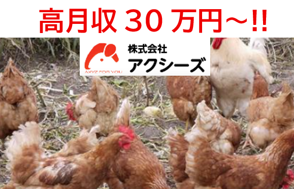 株式会社アクシーズの求人・転職情報