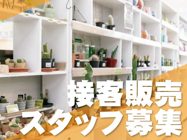 株式会社綿半のアルバイト・バイト求人情報-15