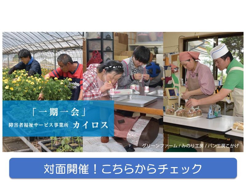 【福祉心理・健康福祉学科】利用者や家族の笑顔がやりがいです