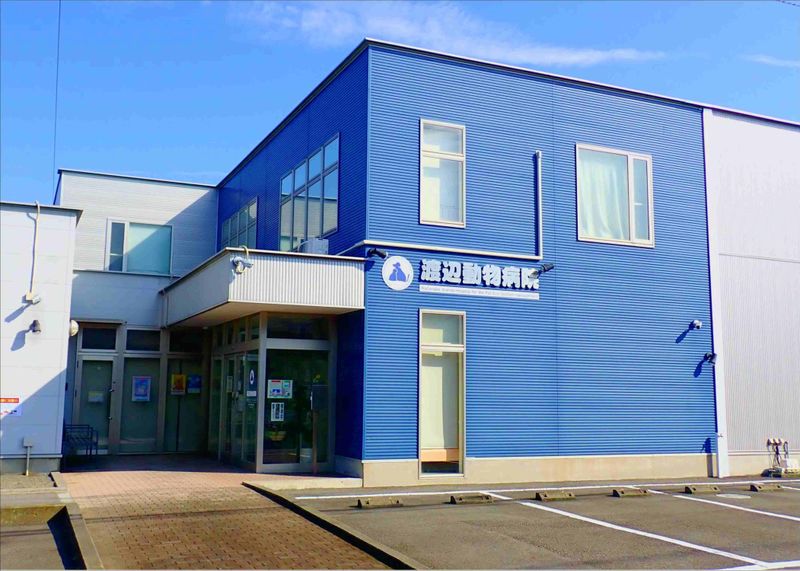 有限会社渡辺動物病院のアルバイト・バイト求人情報-05