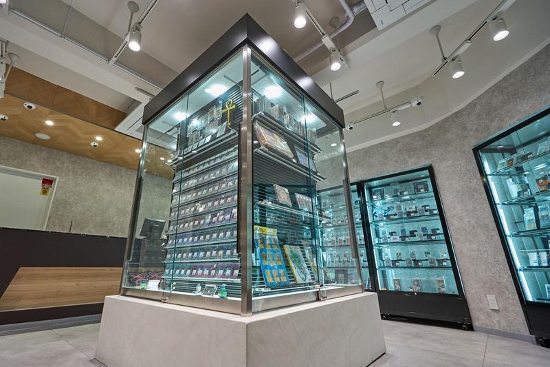 アソビビジョン株式会社の求人・転職情報