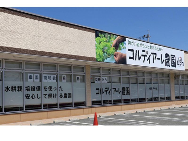 コルディアーレ宮崎柳丸農園のアルバイト・バイト求人情報-03