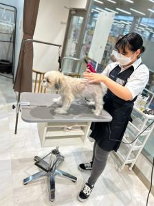 ペットアミ 喜多方店のアルバイト・バイト求人情報-34