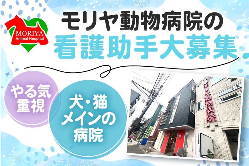 モリヤ動物病院の求人・転職情報