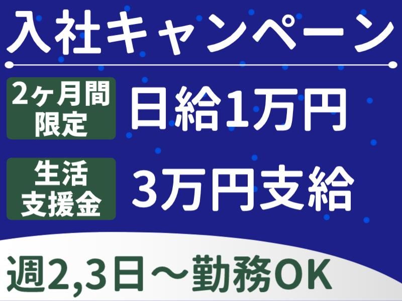 株式会社パルズパートナー