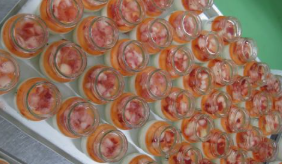 株式会社花園万頭　上尾工場のアルバイト・バイト求人情報-03