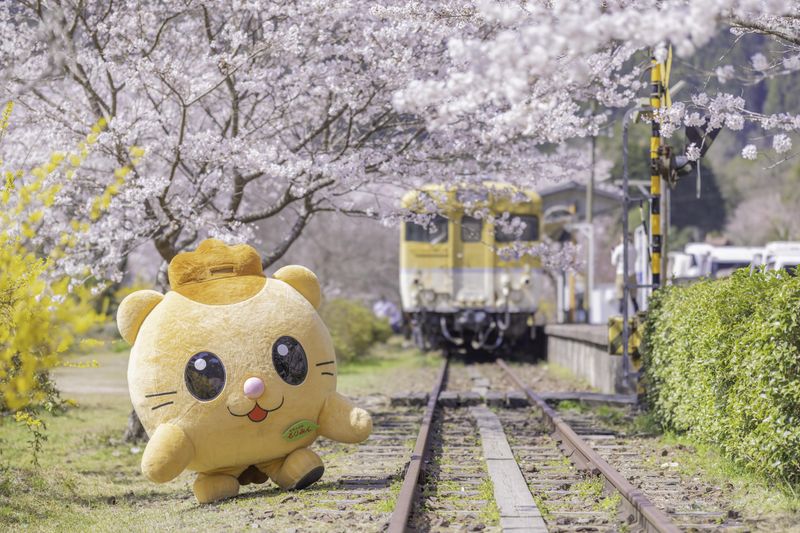 安芸太田町(勤務地:安芸太田町役場加計支所又は委託先)のアルバイト・バイト求人情報-03