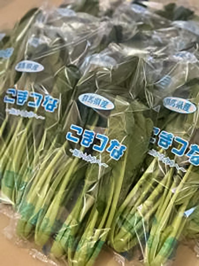 中島農園のアルバイト・バイト求人情報-02