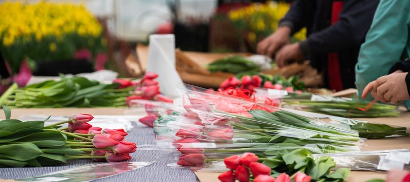 株式会社フローラル・ジャパンの求人・転職情報