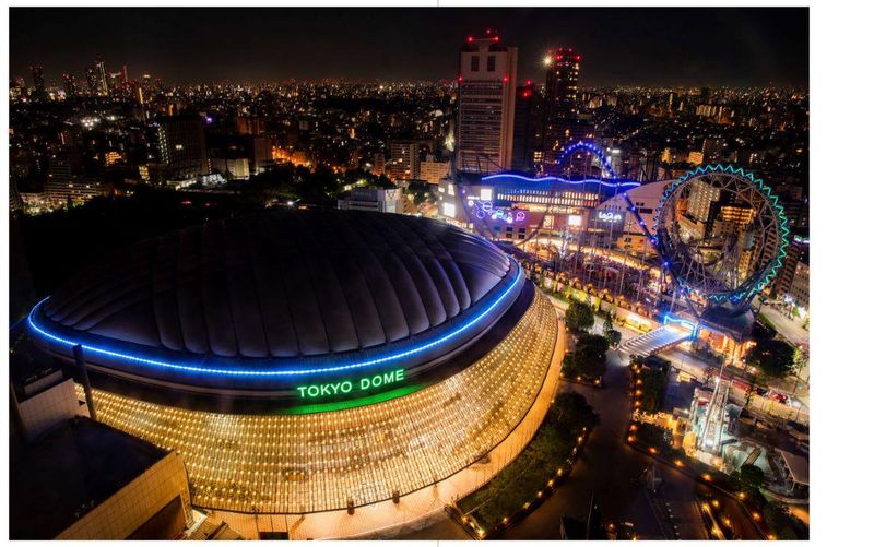 株式会社東京ドーム
