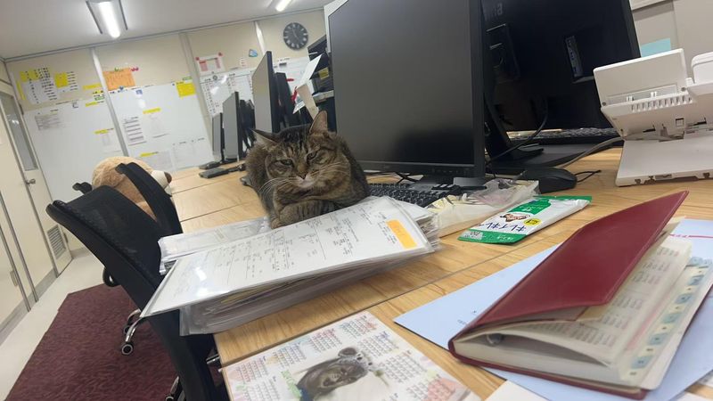株式会社秦貴のアルバイト・バイト求人情報-02
