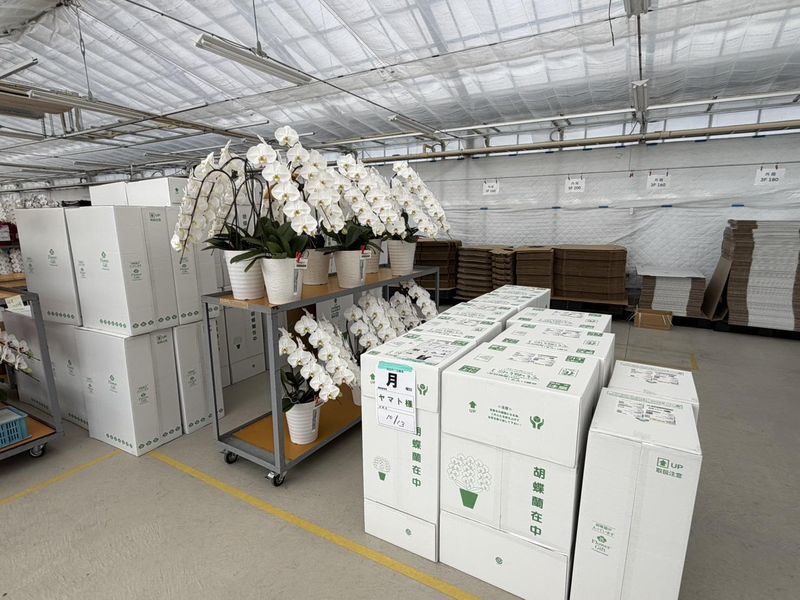 株式会社リーフの求人・転職情報