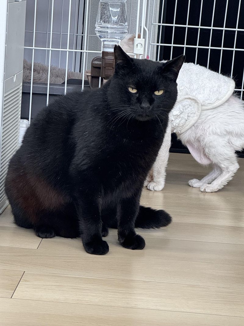 株式会社R-oneの求人・転職情報