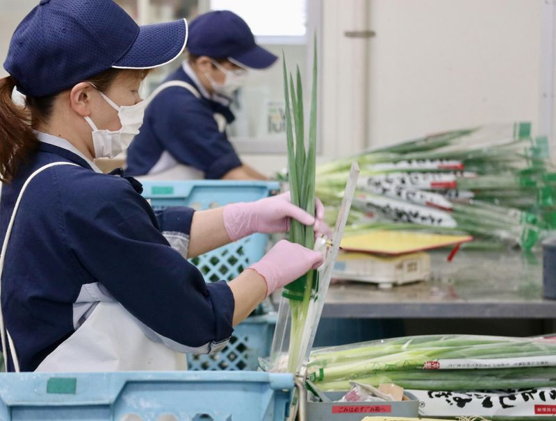 こと京都株式会社　向島工場のアルバイト・バイト求人情報-02