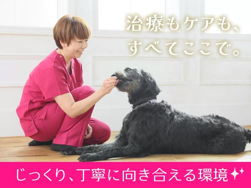 株式会社PET LIFE-0003の求人・転職情報