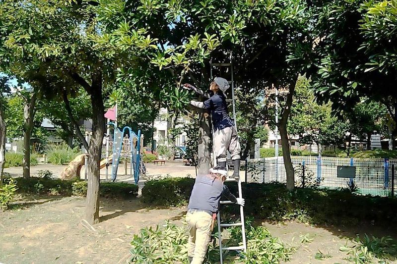 株式会社大和緑化(現場: 東京都板橋区/大学の緑地管理)のアルバイト・バイト求人情報-04