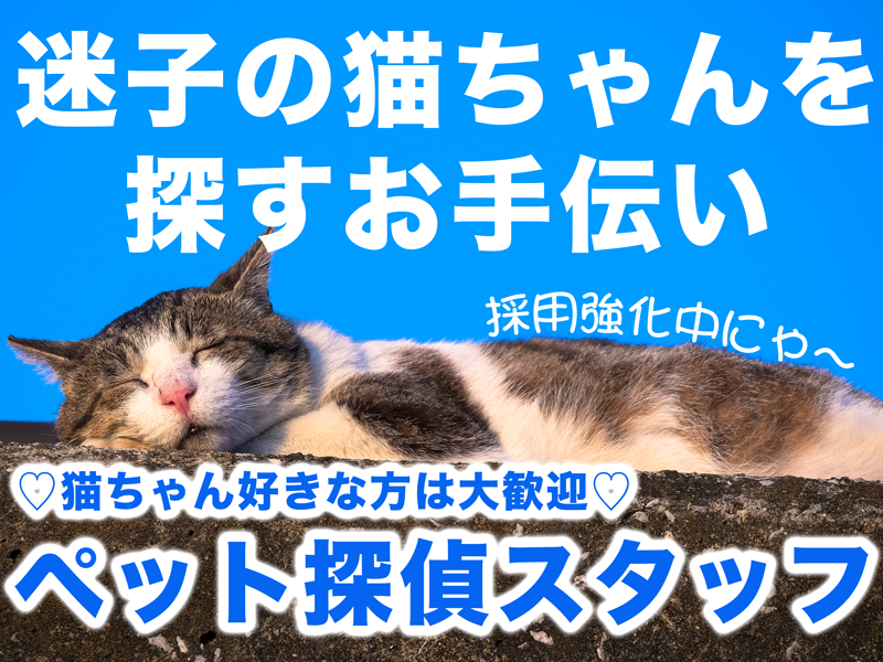 キャットプロ株式会社の求人・転職情報