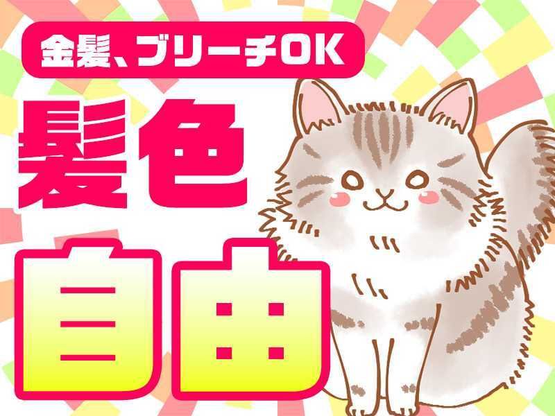 株式会社GOOD SMILE 株式会社GOODSMILE(船橋市)の求人情報