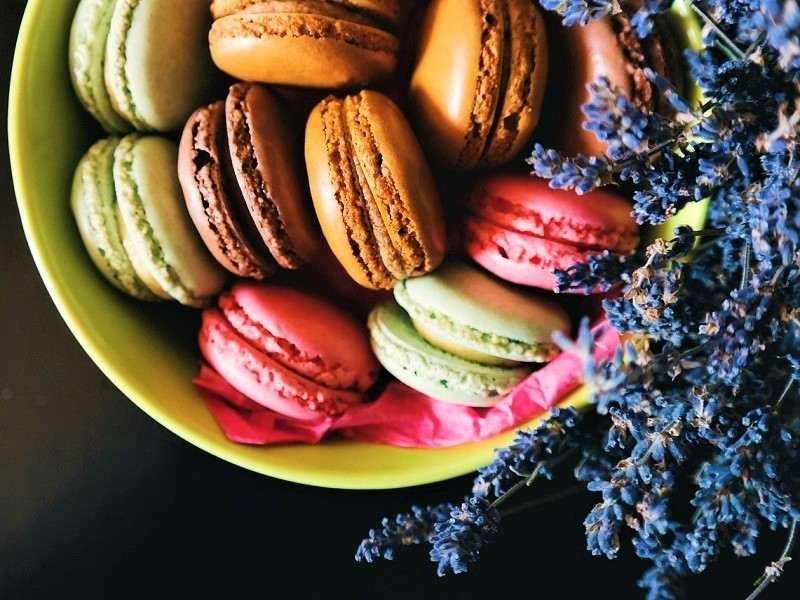 ファッション人材リンク株式会社の派遣求人情報