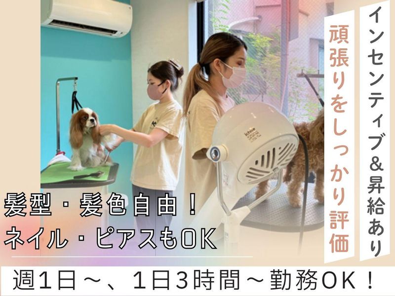 株式会社スカイブリッジのアルバイト・バイト求人情報-02