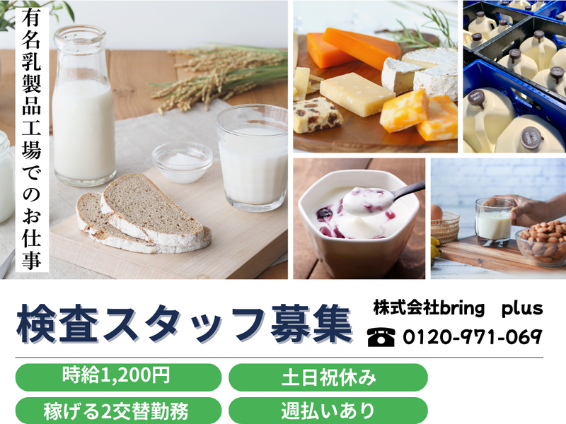 株式会社bring plus/plus-Iの派遣求人情報