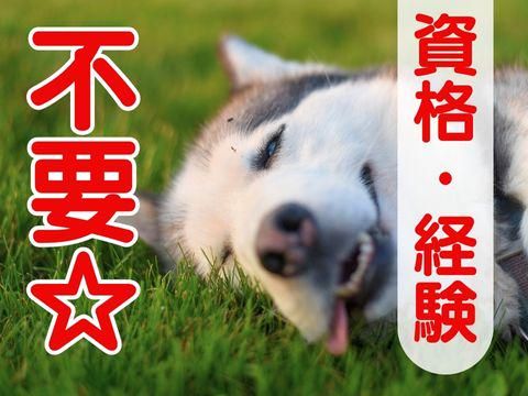 株式会社ホットスタッフ五日市(62)のアルバイト・バイト求人情報-04