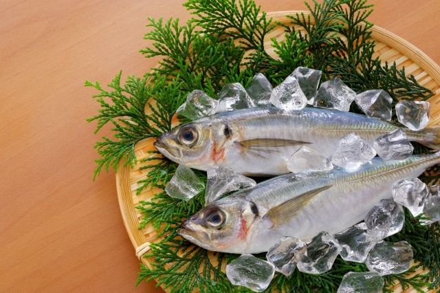 株式会社海幸の求人・転職情報