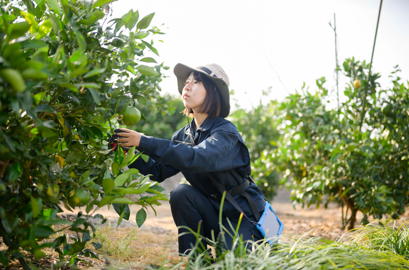 愛媛県のアルバイト・バイト求人情報-04