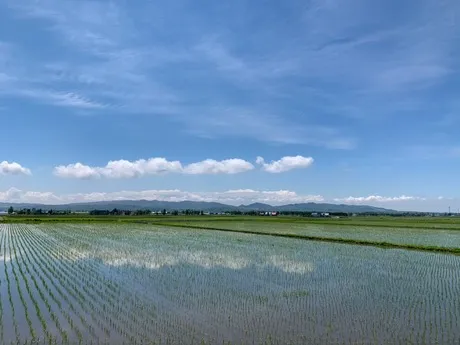 The北海道ファーム株式会社の求人・転職情報