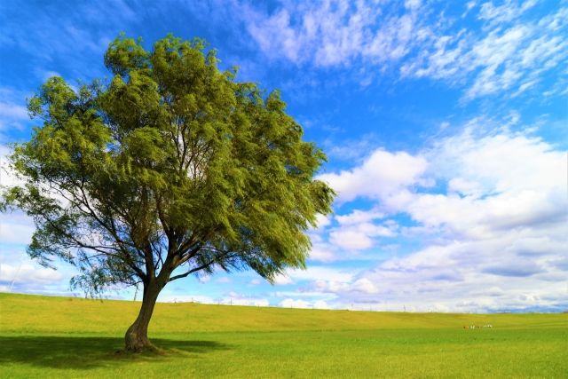 株式会社 コスモのアルバイト・バイト求人情報-17