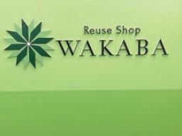 WAKABA}CCX