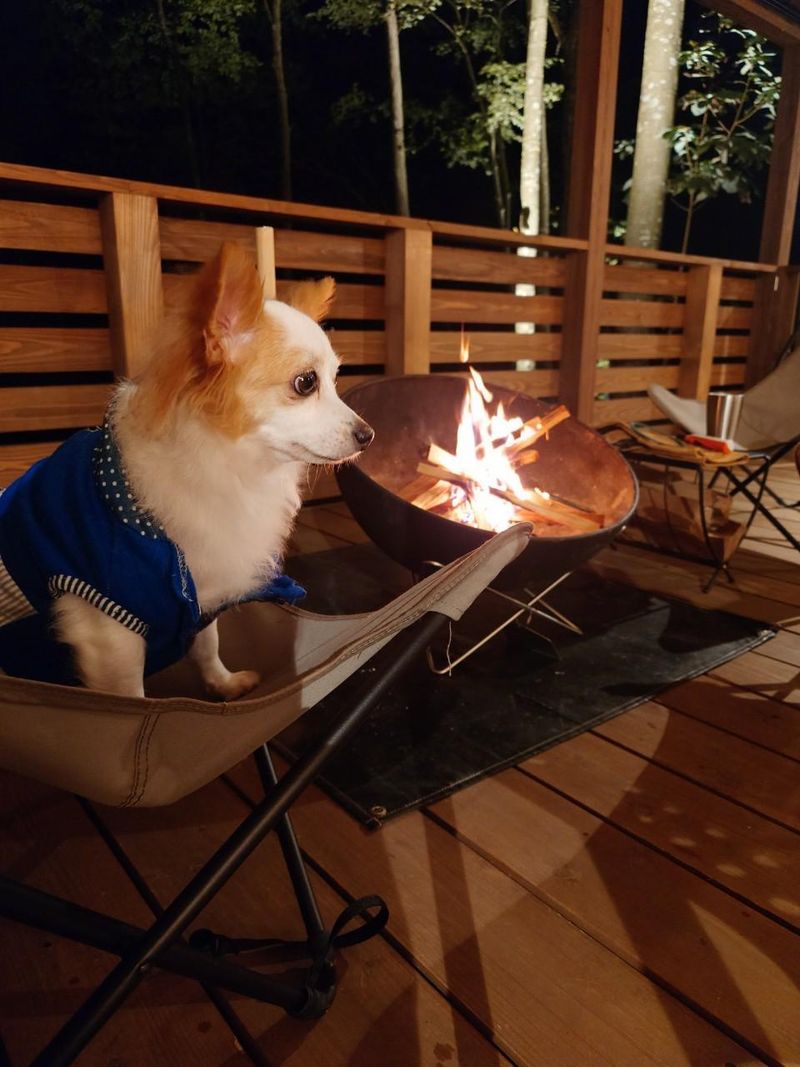 株式会社プロスパー・コーポレーションの求人・転職情報