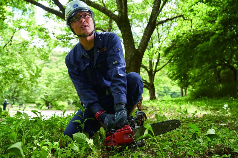九州木材工業株式会社の求人・転職情報
