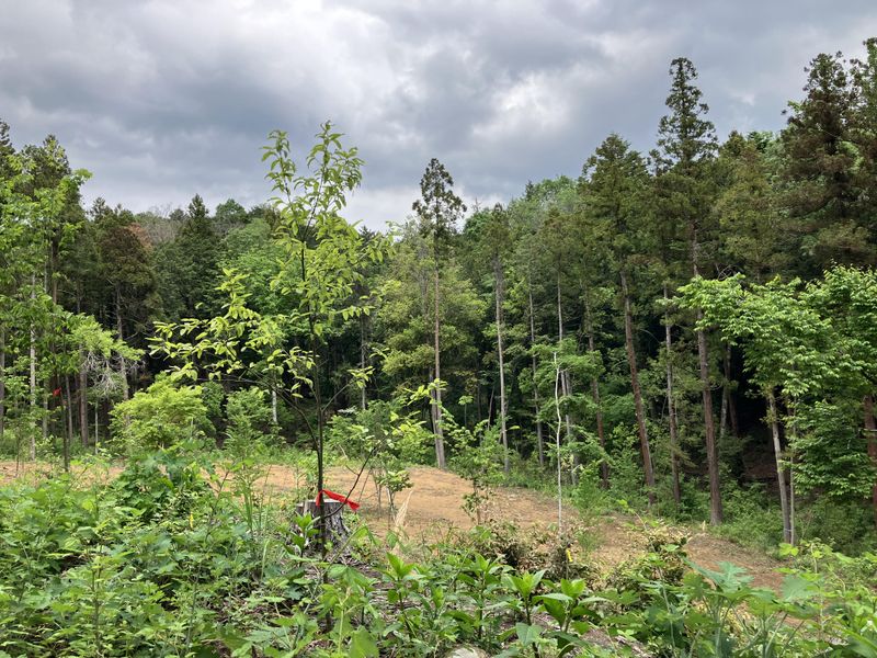 新町こどもクラブのアルバイト・バイト求人情報-03