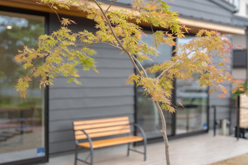 ユービーケア株式会社　リラクゼーション型デイサービス「TREE和合」のアルバイト・バイト求人情報-01