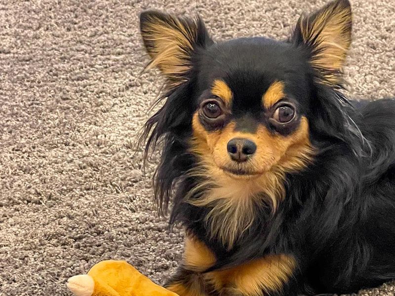 株式会社ファミリースタジアムの求人・転職情報